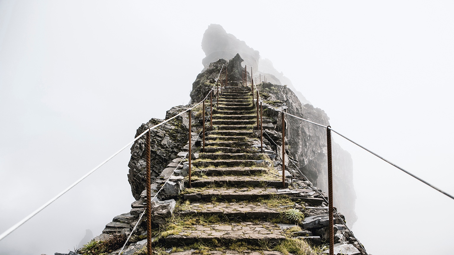 Corporate Purpose McKinsey & Company